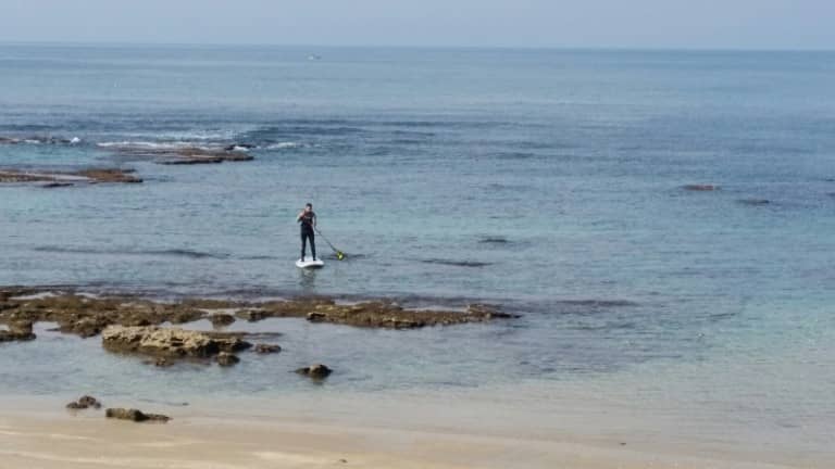 20160130_103254_resized (800x450)