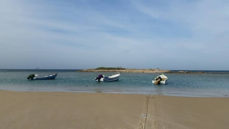 20160302_094436_resized